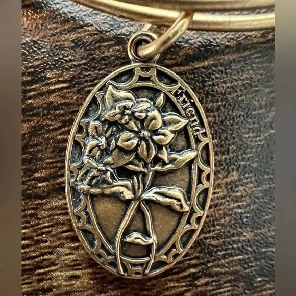 Alex and Ani | Friend, Expandable Rafaelian Bangle Bracelet. - Picture 3 of 8